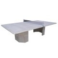 TABLE PING PONG Veinage Gris, Dim 282x160