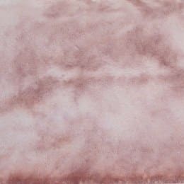 Finission veine bourgogne lisse